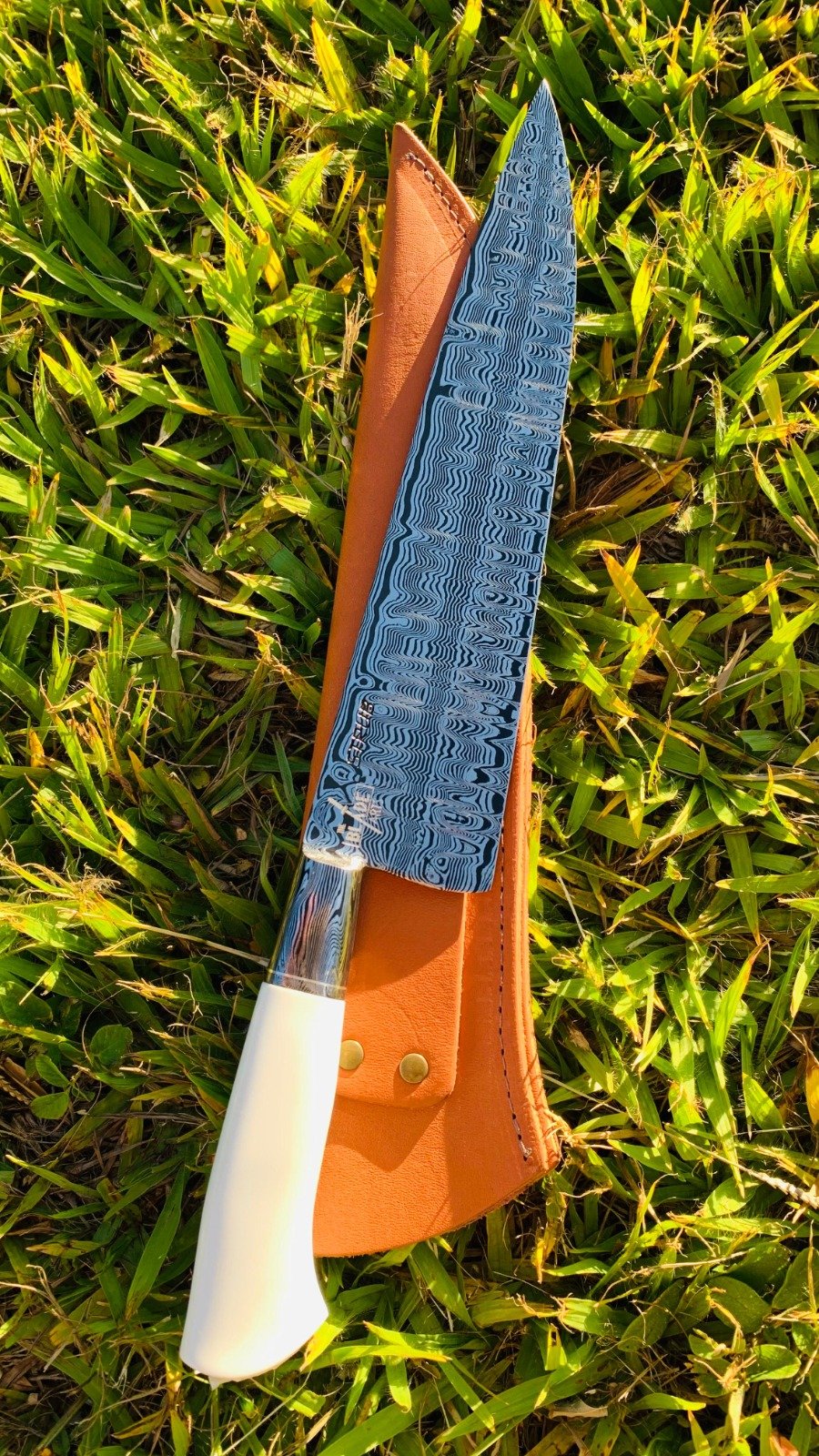 WhatsApp Image 2025-01-12 at 16.36.22 (1)