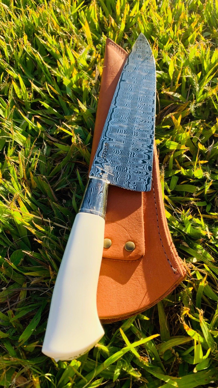 WhatsApp Image 2025-01-12 at 16.36.22