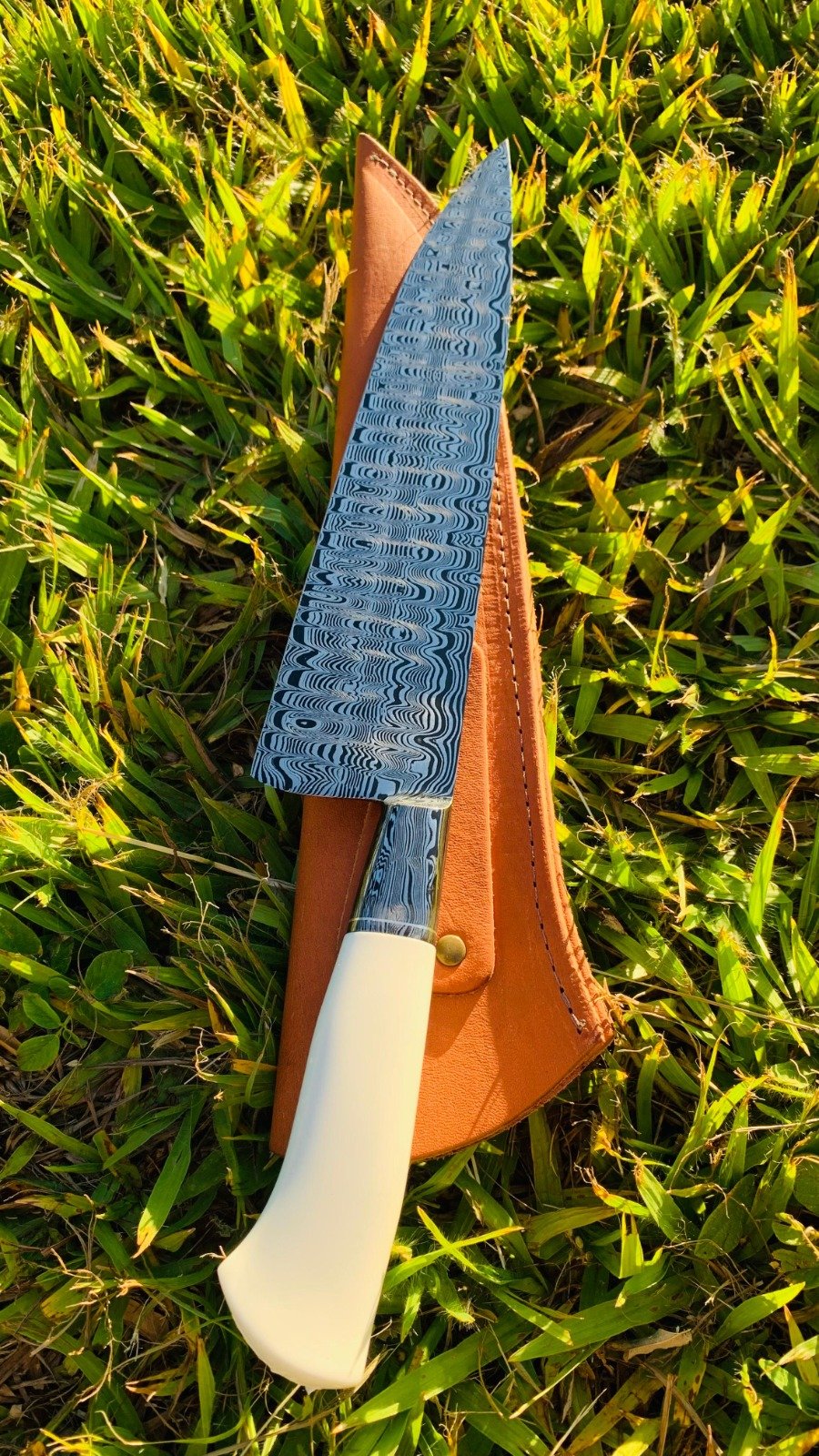 WhatsApp Image 2025-01-12 at 16.36.23